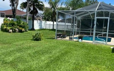 Photo of Yema K.'s yard after getting lawn care in Spring Hill, FL