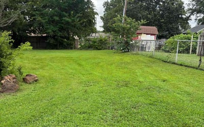 Photo of Persephonie G.'s yard after getting lawn care in Teaneck, NJ