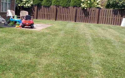 Photo of Allen F.'s yard after getting lawn care in Georgetown, KY
