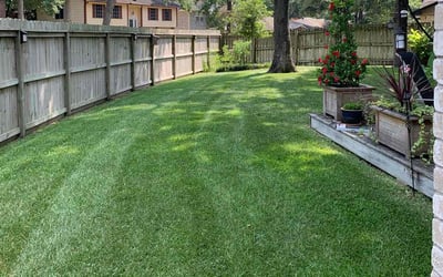 Photo of Patricia A C.'s yard after getting lawn care in Holliston, MA