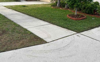 Photo of Noel P.'s yard after getting lawn care in Riverview, FL