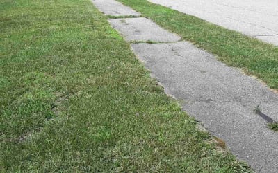 Photo of Susan N.'s yard after getting lawn care in Milford, MA