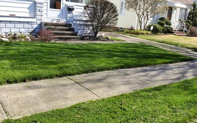 Photo of Barbara S.'s yard after getting lawn care in Avon Lake, OH