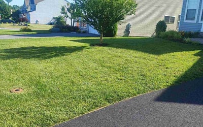 Photo of Jessica I.'s yard after getting lawn care in Takoma Park, MD
