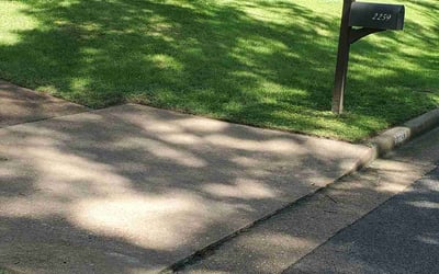 Photo of Lucille W.'s yard after getting lawn care in Bartlett, TN