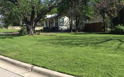 Photo of Marilynn H.'s yard after getting lawn care in Danville, CA
