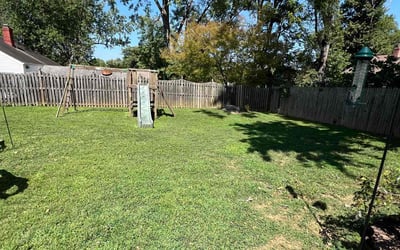 Photo of Jason H.'s yard after getting lawn care in Silver Spring, MD