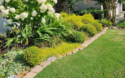 Photo of Kaitlyn B.'s yard after getting lawn care in Lake Mary, FL