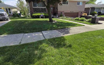 Photo of Stanley E.'s yard after getting lawn care in Middletown, DE