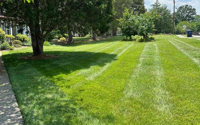 Photo of John B.'s yard after getting lawn care in Corryton, TN