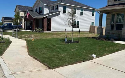 Photo of Danielle T.'s yard after getting lawn care in Seguin, TX