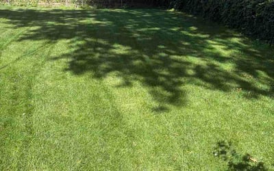 Photo of Nate S.'s yard after getting lawn care in Nazareth, PA