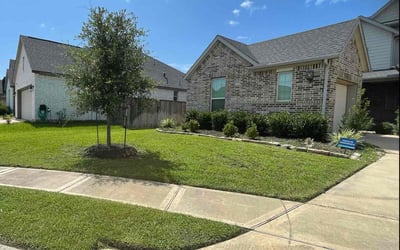 Photo of Curtis C.'s yard after getting lawn care in Keller, TX