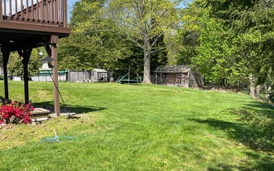 Photo of Bibek A.'s yard after getting lawn care in Meriden, CT