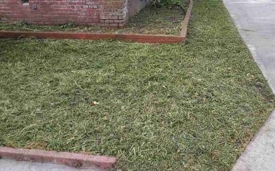 Photo of Alyssa S.'s yard after getting lawn care in Escondido, CA