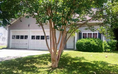 Photo of James B.'s yard after getting lawn care in Smithtown, NY