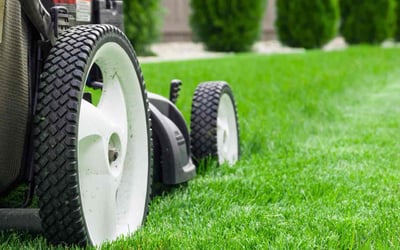 Photo of Stephanie S.'s yard after getting lawn care in Claremore, OK