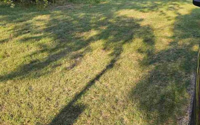 Photo of Vernon D.'s yard after getting lawn care in Hanover Park, IL