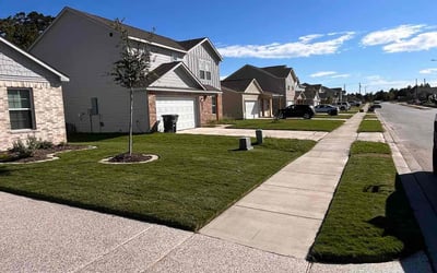 Photo of Loretta P.'s yard after getting lawn care in Bryan, TX