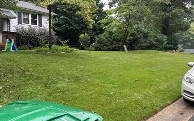 Photo of Austin B.'s yard after getting lawn care in Cleburne, TX