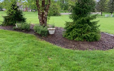 Photo of Laquita P.'s yard after getting lawn care in Hammond, IN