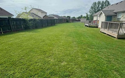 Photo of Brenda P.'s yard after getting lawn care in Columbia, TN