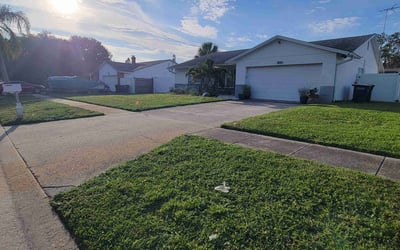Photo of Melisa S.'s yard after getting lawn care in Stony Brook, NY