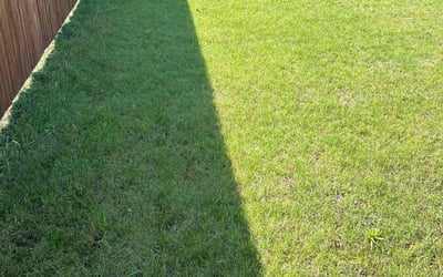 Photo of Jordana S.'s yard after getting lawn care in Kaufman, TX