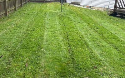 Photo of Creative V.'s yard after getting lawn care in Winchester, CA