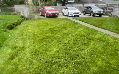 Photo of John G.'s yard after getting lawn care in Spring Lake, MI