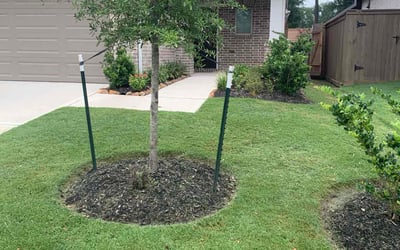 Photo of Lenea S.'s yard after getting lawn care in Aurora, CO