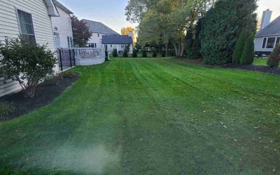 Photo of Erica B.'s yard after getting lawn care in Avon Lake, OH