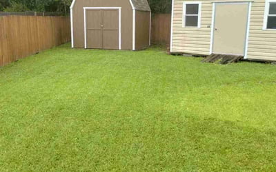Photo of Mai D.'s yard after getting lawn care in Saint Johns, FL