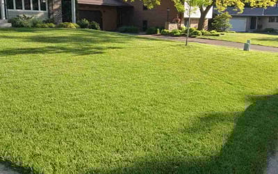 Photo of Kevin V.'s yard after getting lawn care in Anoka, MN