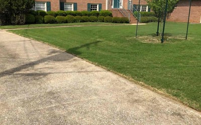 Photo of Sequoah R.'s yard after getting lawn care in Birmingham, AL
