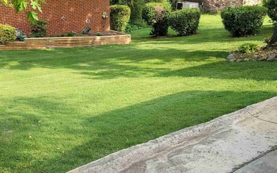 Photo of Kiyisha A.'s yard after getting lawn care in Chattanooga, TN