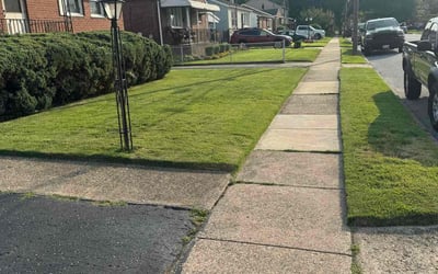 Photo of Vanessa S.'s yard after getting lawn care in Upper Darby, PA