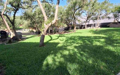 Photo of Venkat A.'s yard after getting lawn care in San Antonio, TX