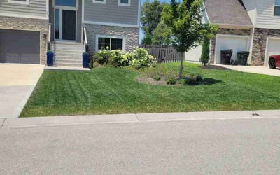 Photo of Mayzella W.'s yard after getting lawn care in Leavenworth, KS