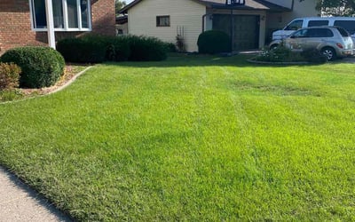 Photo of Marsha C.'s yard after getting lawn care in Davenport, IA