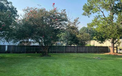 Photo of Frederick R.'s yard after getting lawn care in Lafayette, LA