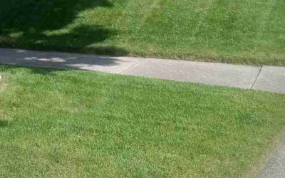 Photo of Stacey B.'s yard after getting lawn care in South Milwaukee, WI