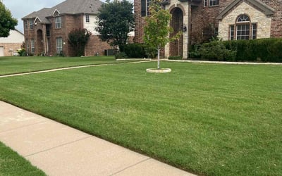 Photo of Andre G.'s yard after getting lawn care in Haslet, TX