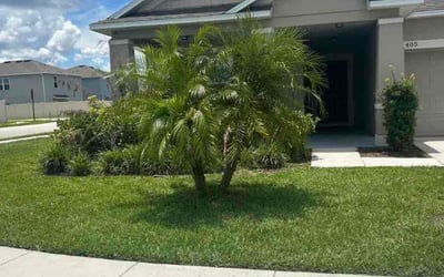 Photo of Chris B.'s yard after getting lawn care in Frostproof, FL