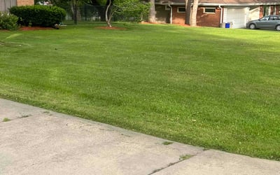 Photo of Ursula C.'s yard after getting lawn care in Dayton, TX