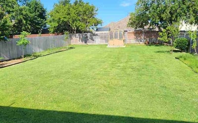 Photo of Todd B.'s yard after getting lawn care in Schaumburg, IL