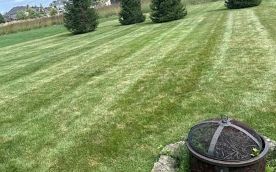 Photo of Michael R.'s yard after getting lawn care in Carmel, IN