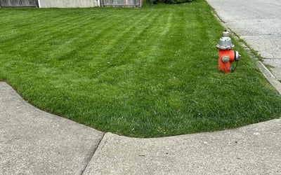 Photo of Camille D.'s yard after getting lawn care in Euclid, OH