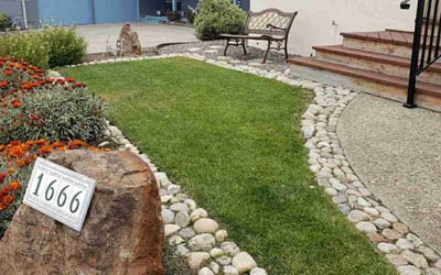 Photo of Shawn M.'s yard after getting lawn care in Seaside, CA