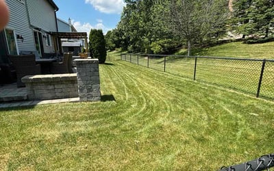 Photo of Latoya M.'s yard after getting lawn care in Wheeling, IL